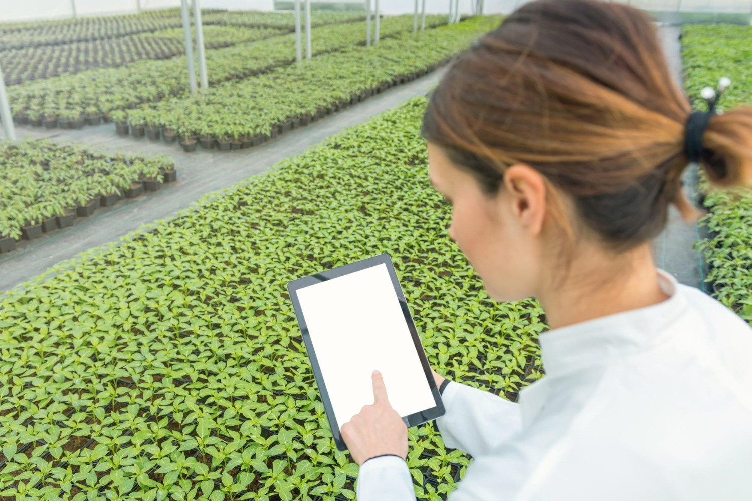 Tecnología agrícola: el almacenamiento de datos