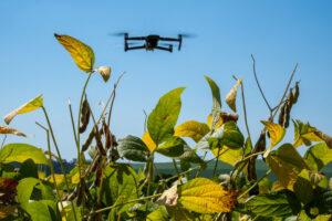 Drones, biotecnología y huella ambiental: innovaciones tecnológicas en el campo 