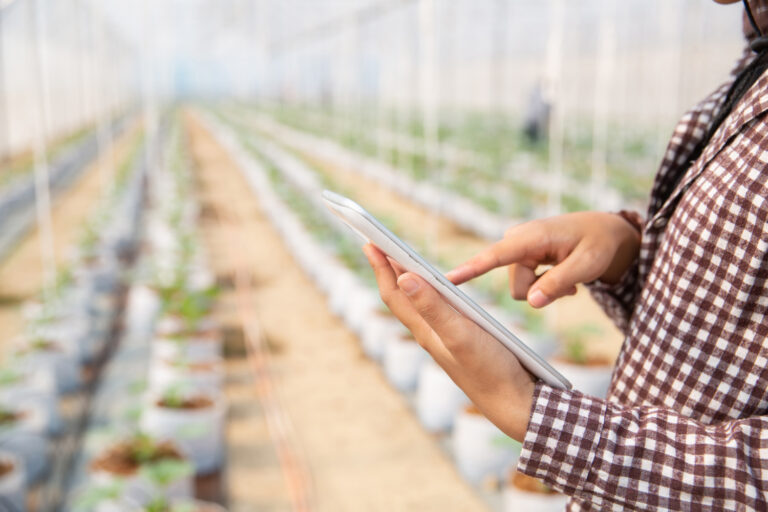 Tecnología en el agro: la función del acumulador de pacas