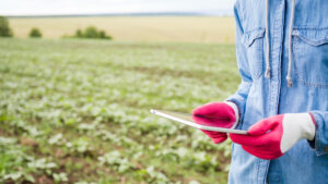 El rol del monitoreo en la producción agrícola